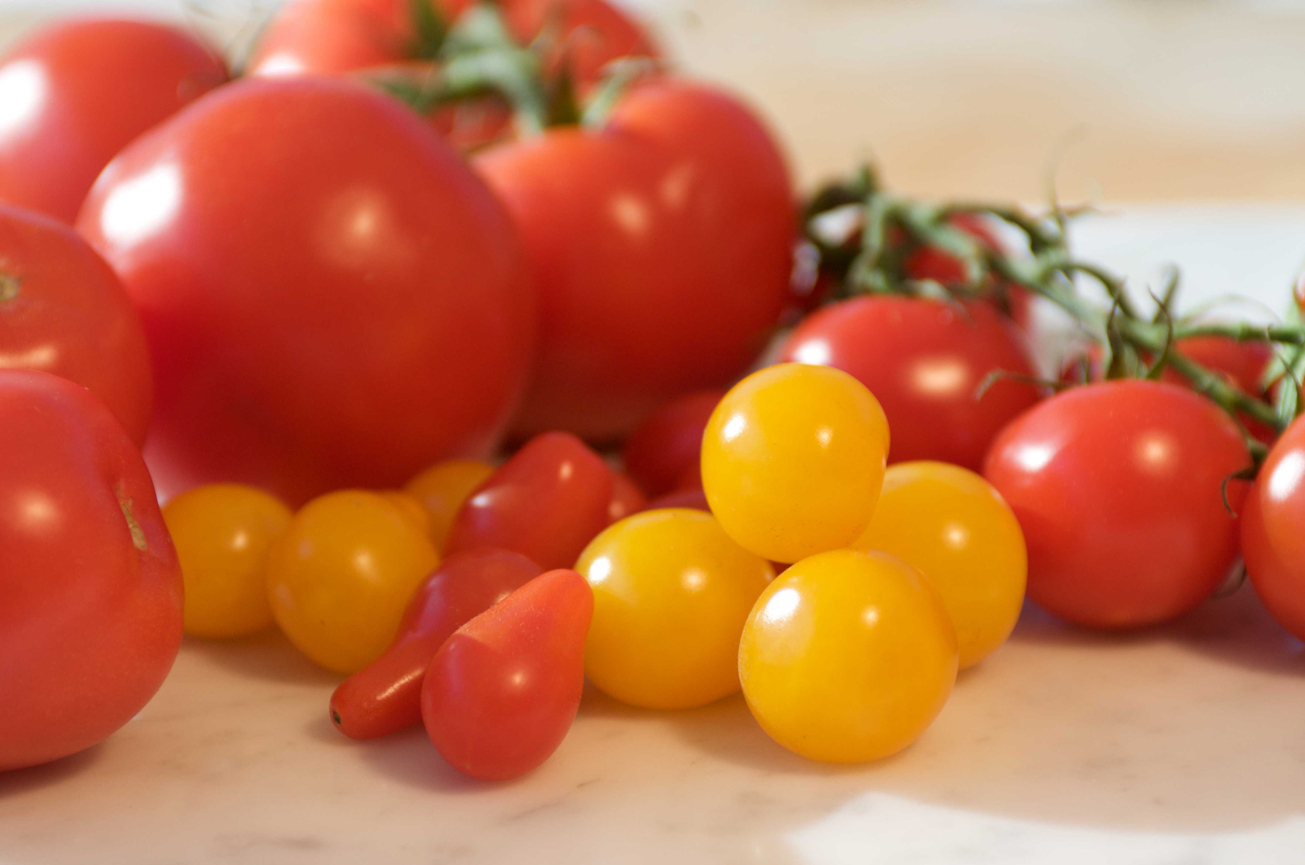 1-Tomatoes-DSC_5338